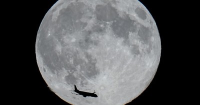 Tiệc Quái thú dưới ánh trăng - Beasts Under the Moon